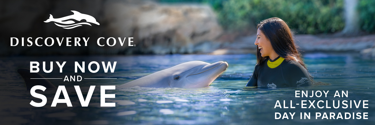 Discovery Cove