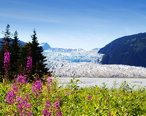 Mendenhall Glacier Juneau Alaska