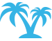 Travel Services and Insurance Icon