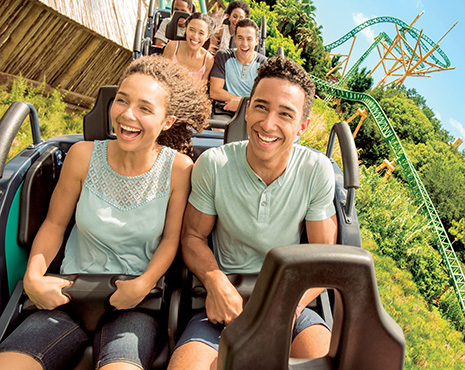 coaster ride