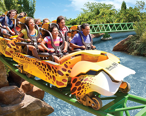 Cheetah ride