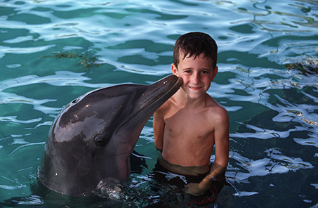 disney-cruise-line-bahamas-dolphin.jpg