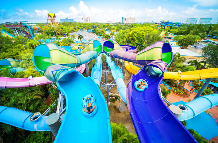aquatica