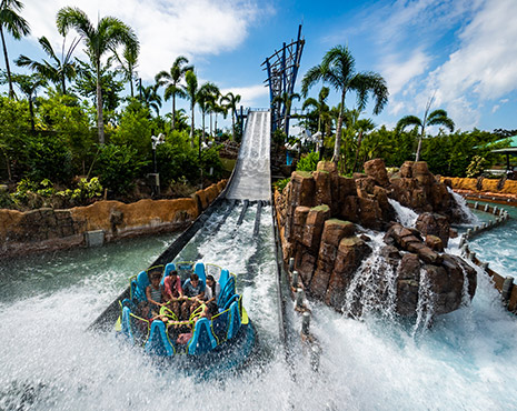 water ride at SeaWorld