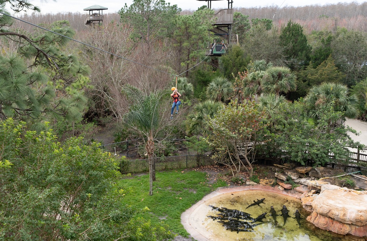 Florida Vacation - Gatorland