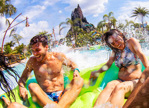 tr-0442-480x350-splash.jpg
