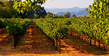 Napa Valley