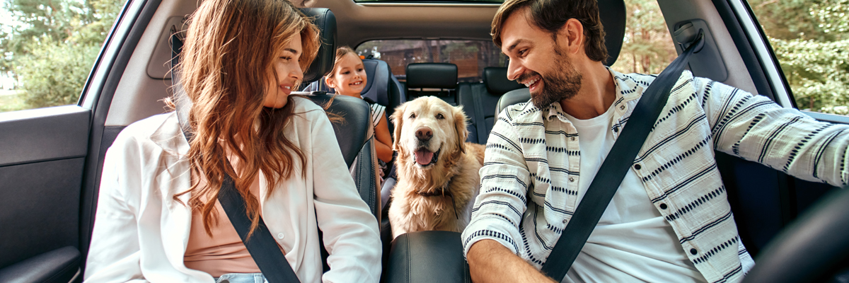 family with dog in car during spring/summer