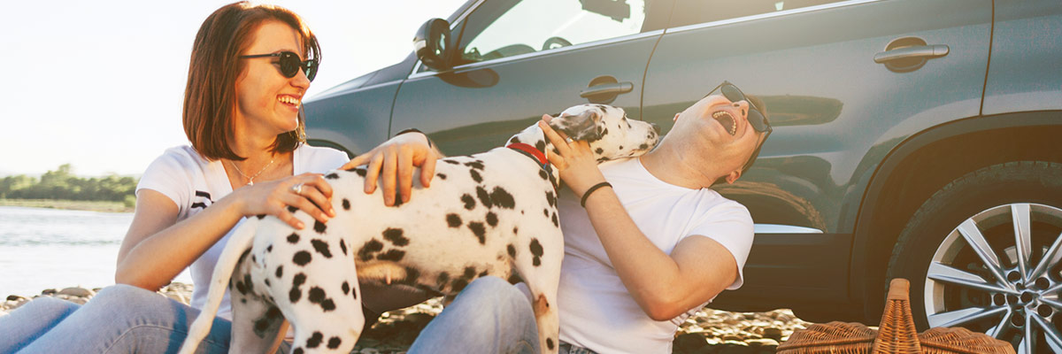 Save on Road Trips with AAA