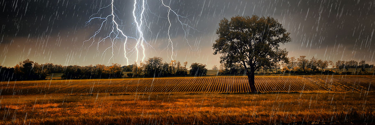 raining in a field of farm crops during the fall