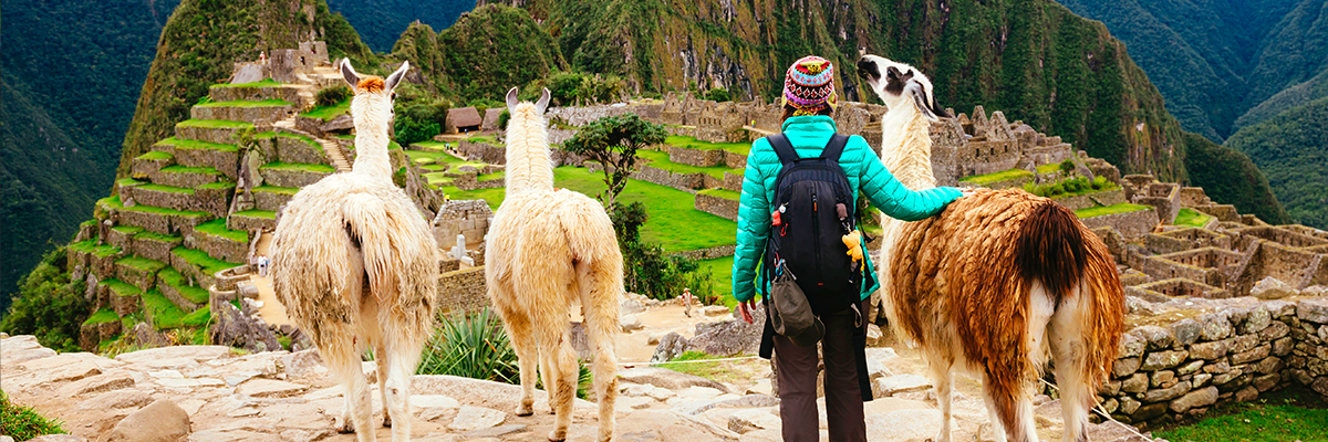 Traveler with Llamas in Peru, Machu Picchu