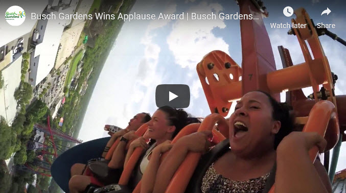 Thrill the Entire Family at Busch Gardens