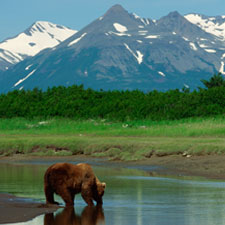 Alaska National Parks Land Vacation